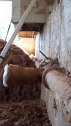 We work around old sewer lines and prep to replace with modern materials
