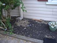 Exterior structural damage before Drumm Design Remodel