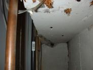 Interior structural framing work